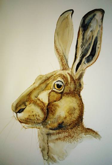 Original Animal Paintings by Margaret Steel