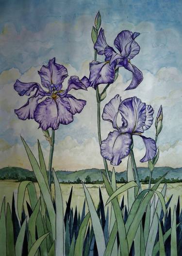 Original Floral Paintings by Margaret Steel