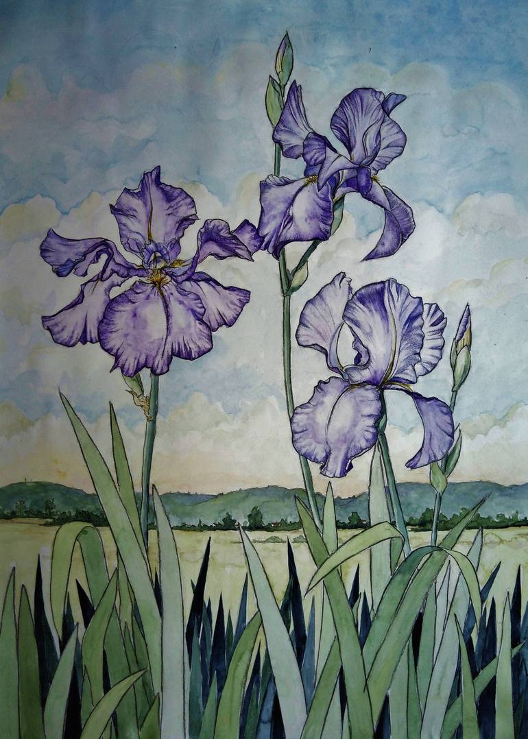 Les Iris du Revermont Painting by Margaret Steel | Saatchi Art