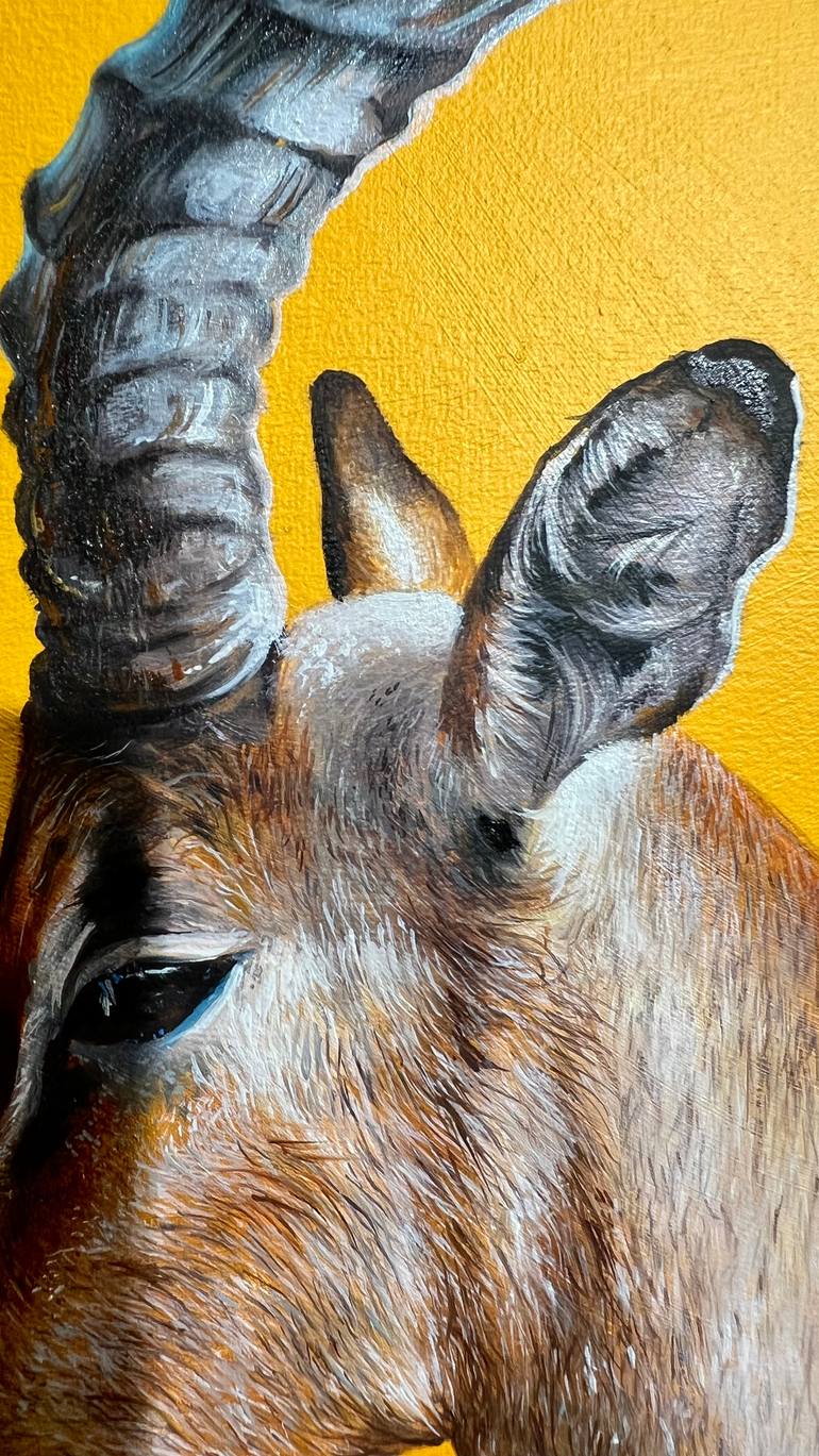 Original Realism Animal Painting by Ruslan Prokopchuk