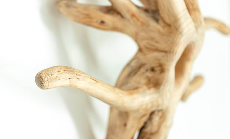 Original Conceptual Abstract Sculpture by Diego Moreno