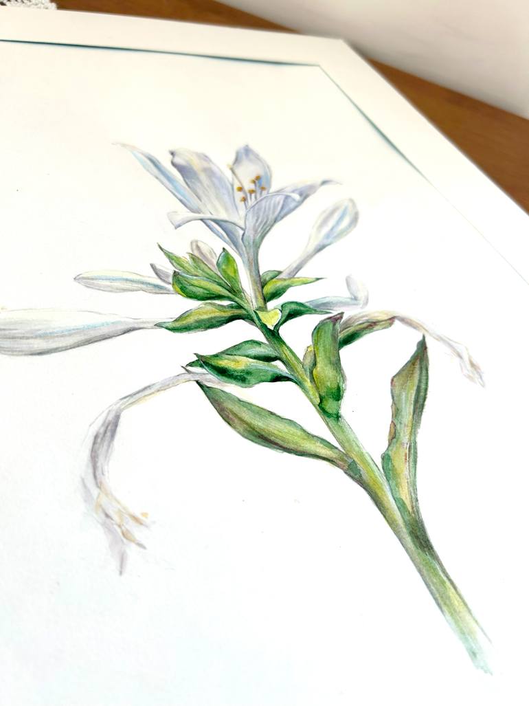 Original Realism Botanic Painting by Juliya Malikova