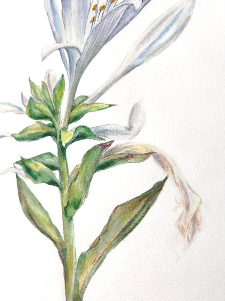 Original Realism Botanic Painting by Juliya Malikova