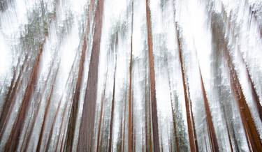 Original Abstract Nature Photography by Fredrik Broman