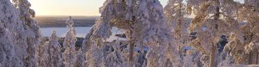 Original Photorealism Nature Photography by Fredrik Broman