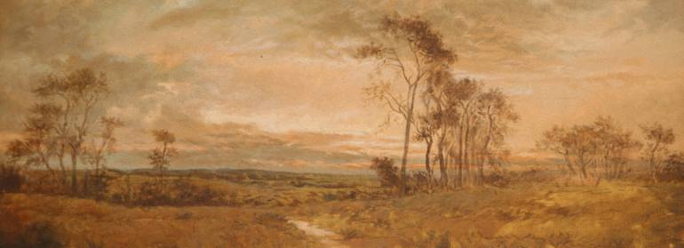 Original Abstract Expressionism Nature Painting by Imran Saeed