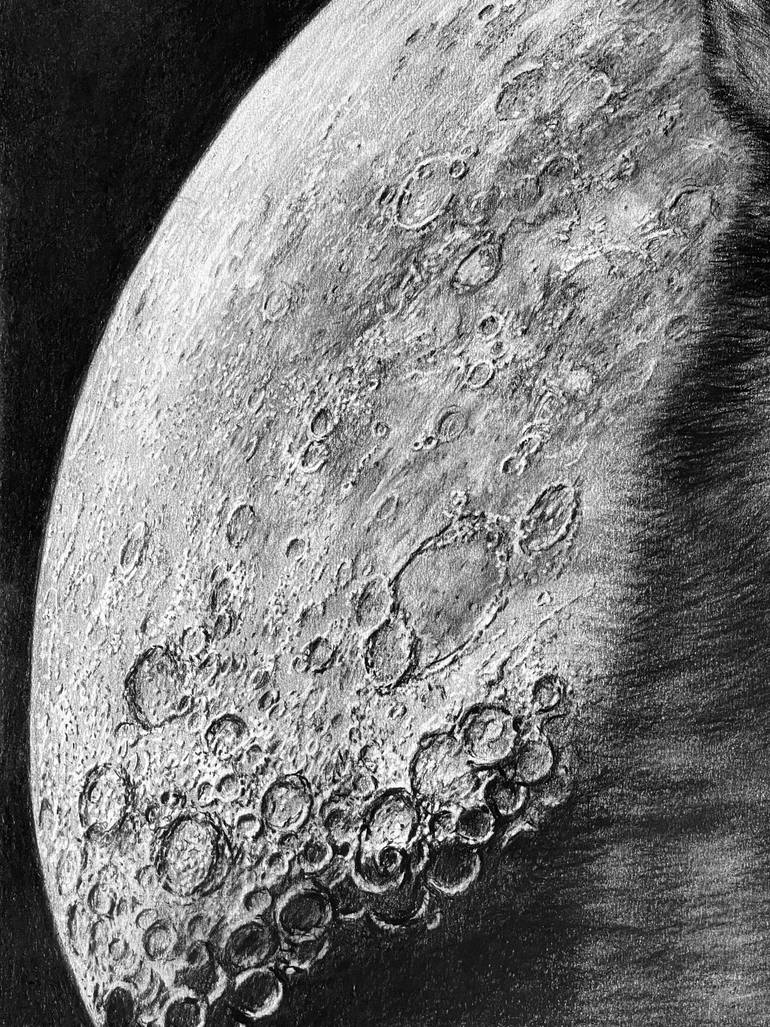 Original Photorealism Animal Drawing by Vladimir Sumarokov