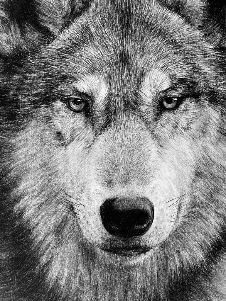 Original Photorealism Animal Drawing by Vladimir Sumarokov