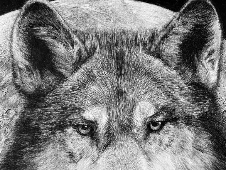Original Photorealism Animal Drawing by Vladimir Sumarokov