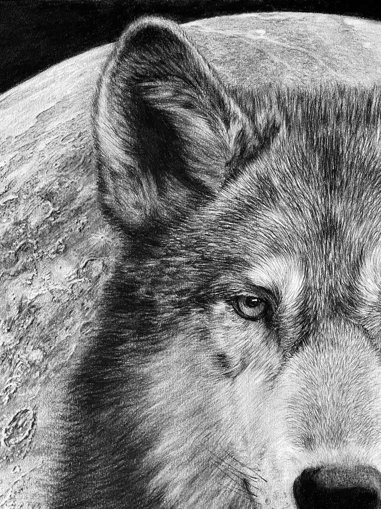 Original Photorealism Animal Drawing by Vladimir Sumarokov