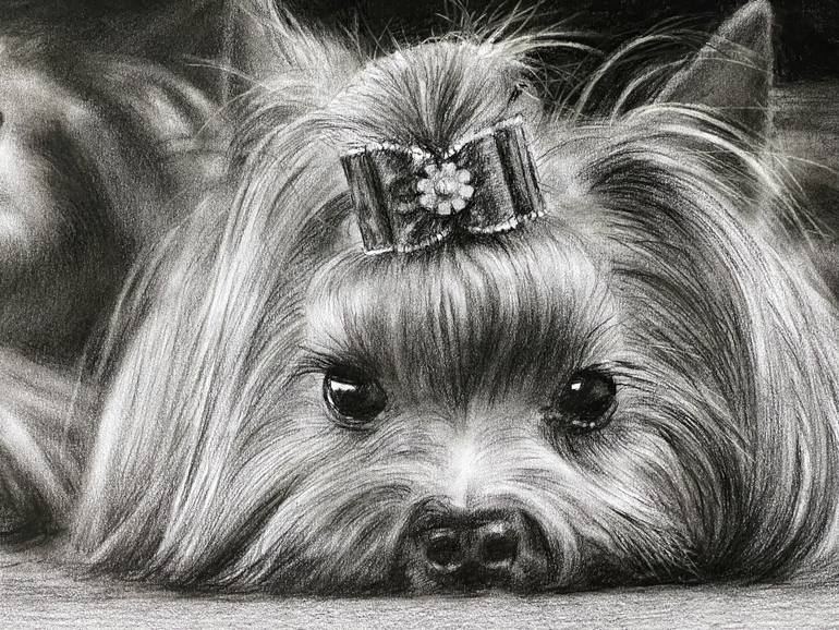 Original Photorealism Animal Drawing by Vladimir Sumarokov