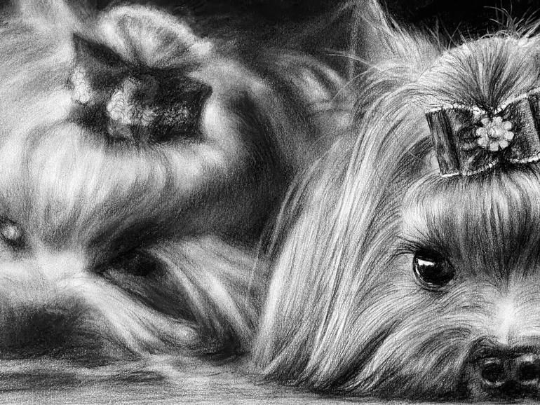 Original Photorealism Animal Drawing by Vladimir Sumarokov