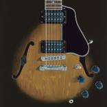 Gibson ES-335 by David Miner