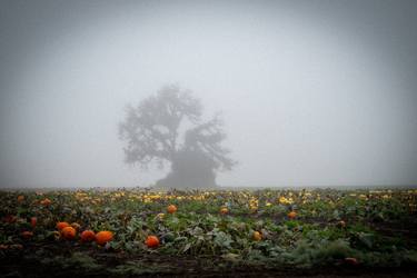 Original Photorealism Landscape Photography by Walter Duddington