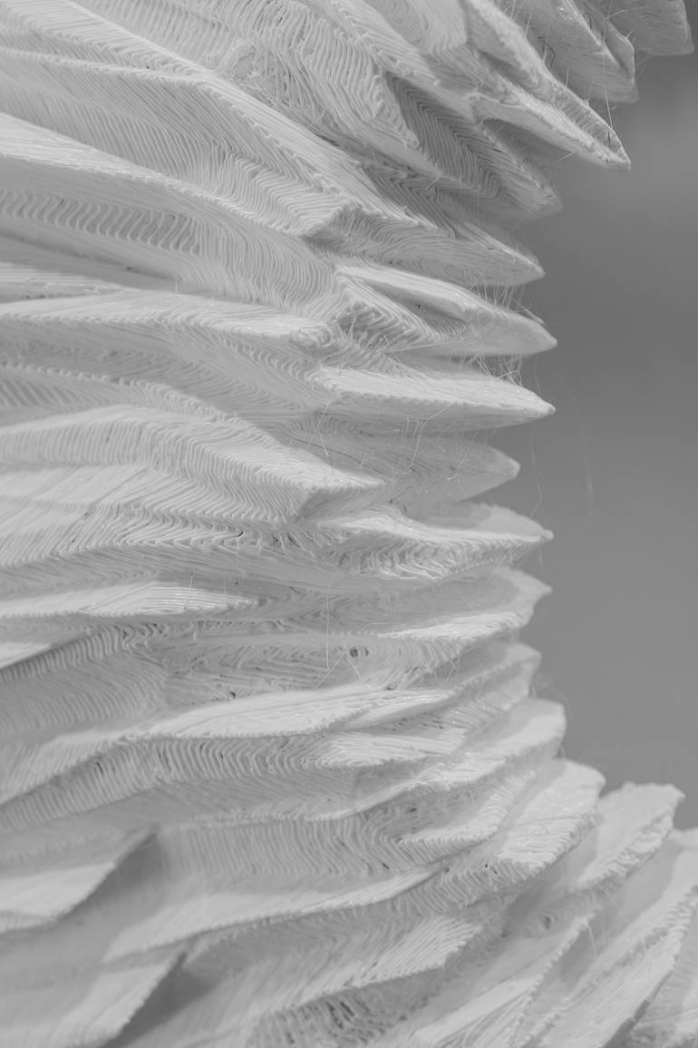 Original Algorithmic Nature Sculpture by Fauno Art