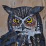 Owl comes mounted in 8 x 10 matt