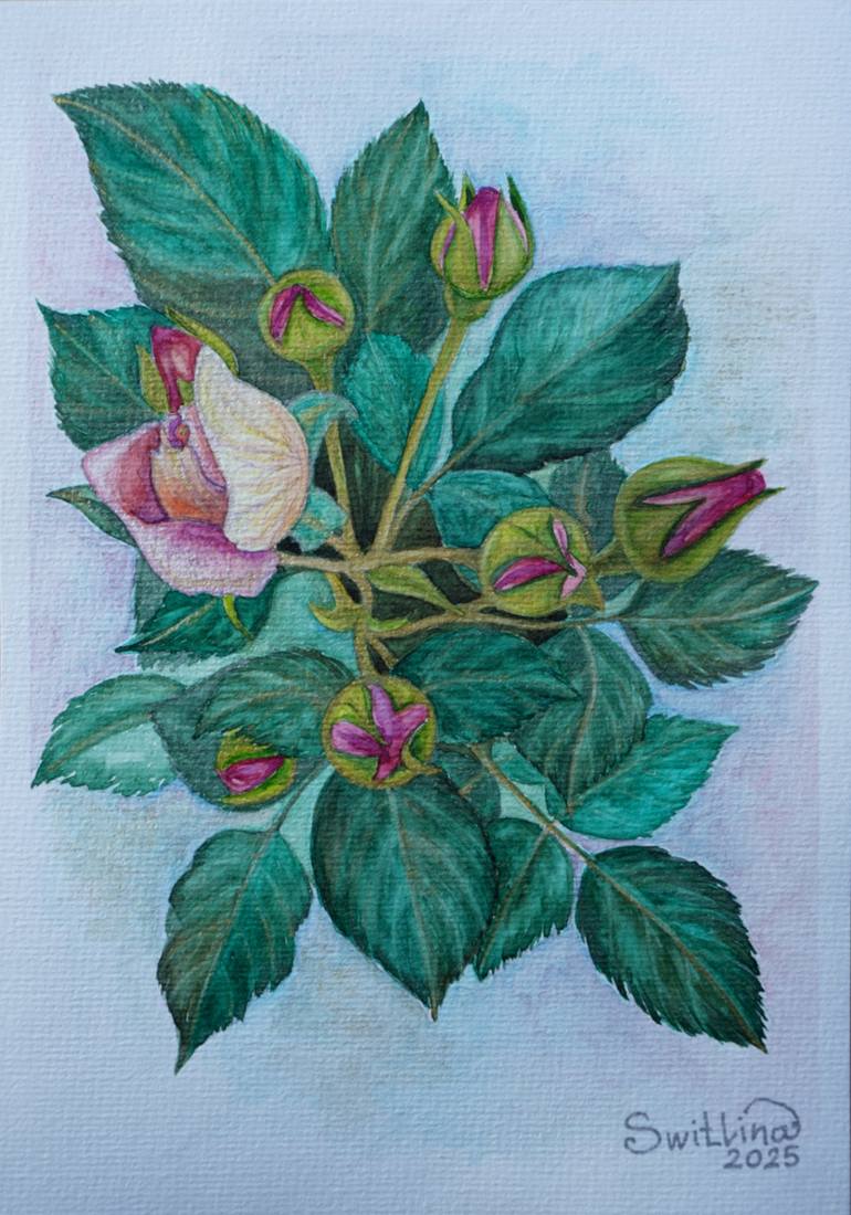 Original Botanic Painting by Switlina Art | Illustration Art on Paper | Branch of pink rose and buds with gold highlights