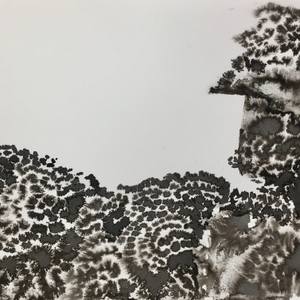 Collection Artists of the Week 10-8-2018