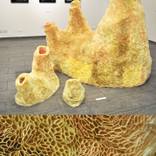 Collection 100 Curators Collection