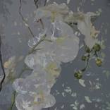 Orchid Calm - Limited Edition 1 of 3 by Ali Azarmi