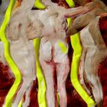Collection Nudes