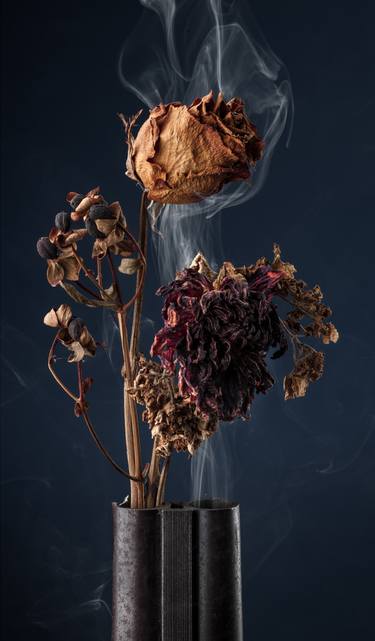 Original Still Life Photography by Kevin Van Aelst