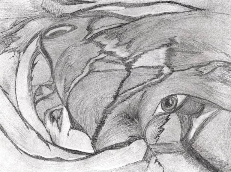 Through the Window of a Wandering Soul Drawing by Veronika Childs ...