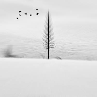 Original Landscape Photography by Carmelita Iezzi