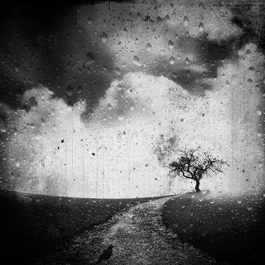 Original Conceptual Landscape Photography by Carmelita Iezzi