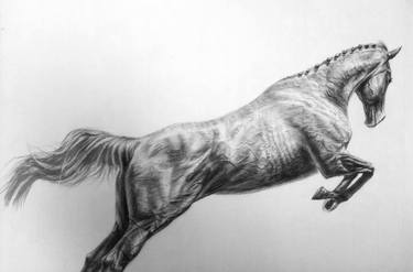 Original Realism Horse Drawings by Benko Laszlo