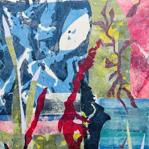 Collection Seaweed