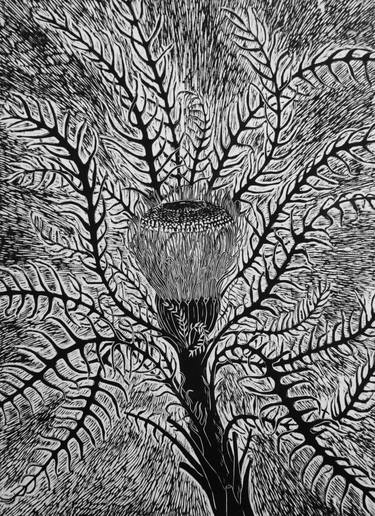 Original Fine Art Botanic Printmaking by Tricia Newell