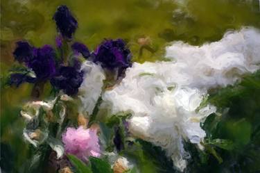 Irises and Peonies - Limited Edition of 10 thumb