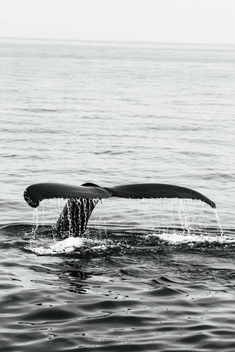 Original  Photography by ines gual de torrella