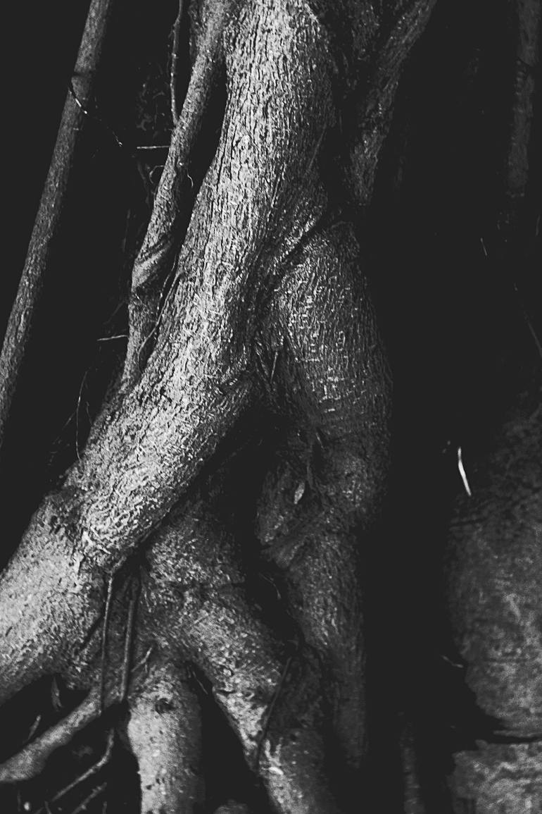 洋書 Photography and Surrealism: Sexuality, How Surrealism Changed Los Angeles Forever | Artsy