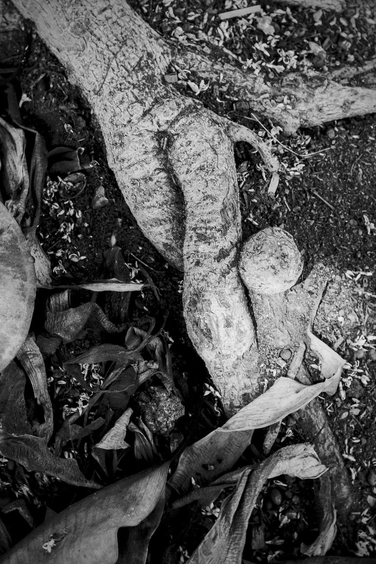 BLACK AND WHITE ERROTIC PHOTOGRAPHY 【公式通販】