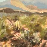 Superstition Mountains, Apache Junction, Arizona by Victoria J Powell