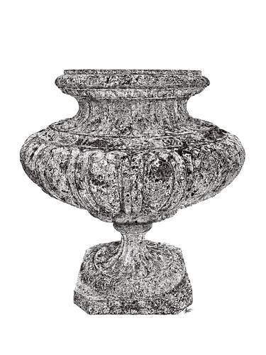 Print of Neoclassicism Garden Drawings by Danielle Martire