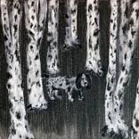 Black and White Mimicry by Marsel Onysko