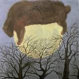The story of A Bear and The Moon by Marsel Onysko