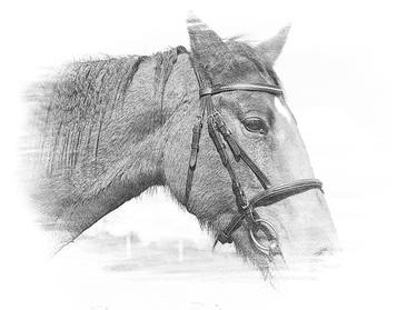 Original Art Deco Animal Drawings by Asad Ali