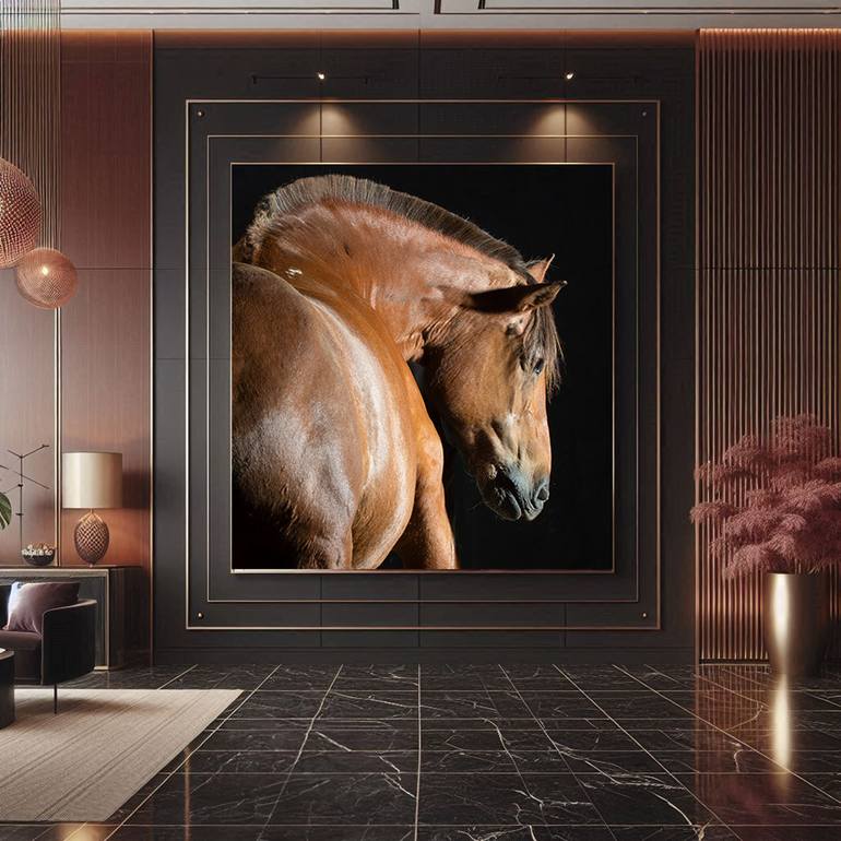 Original Portraiture Horse Photography by Heather Ennis