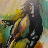 Hell on Wheels by Lisa Moore