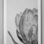 Unfolding Strength by Mary Step