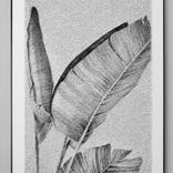 Elegance by Mary Step