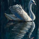 Swan I: Guardian by Andrea L Jacobson