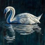 Swan II: Nurturer by Andrea L Jacobson
