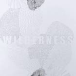 Collection Print Makers