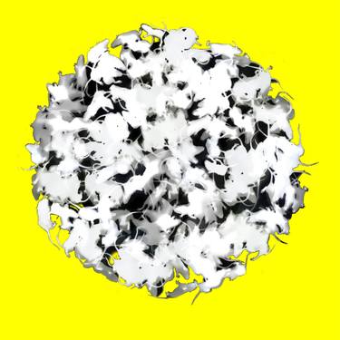 Negative Baby Rat Sphere on Yellow #58 - Limited Edition 6 of 8 thumb