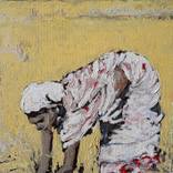 अन्नदाता | Rice Harvest by Animesh Roy